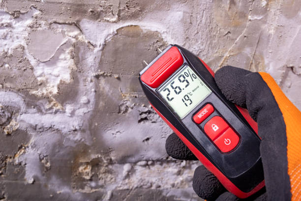 Attic Mold Removal in Grambling, LA