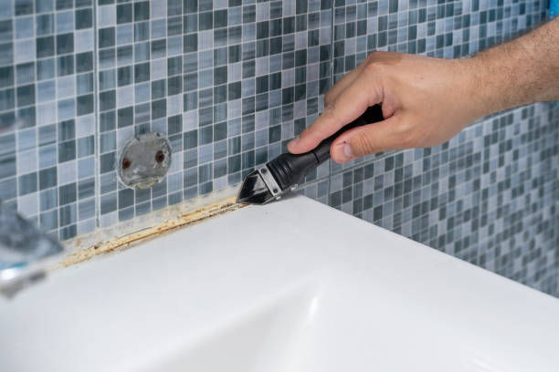 Best Mold Cleaning Services  in Grambling, LA