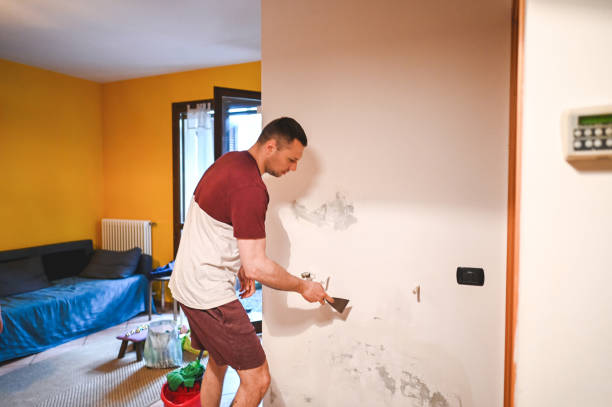 Best Mold Remediation  in Grambling, LA